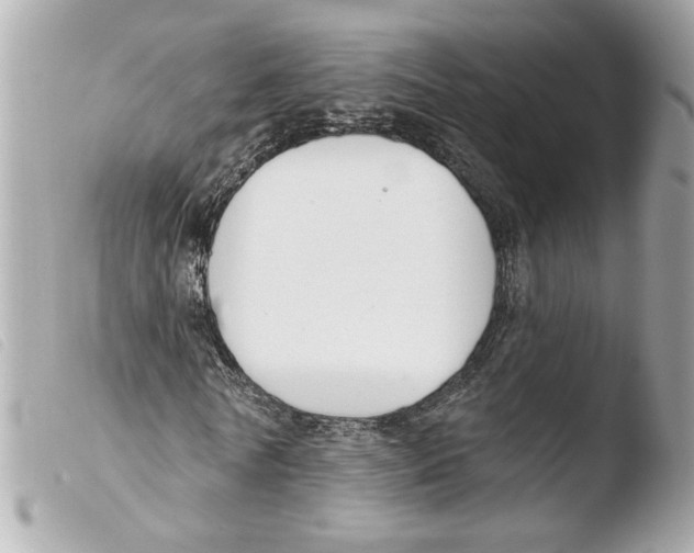 X0000103490770200810101022