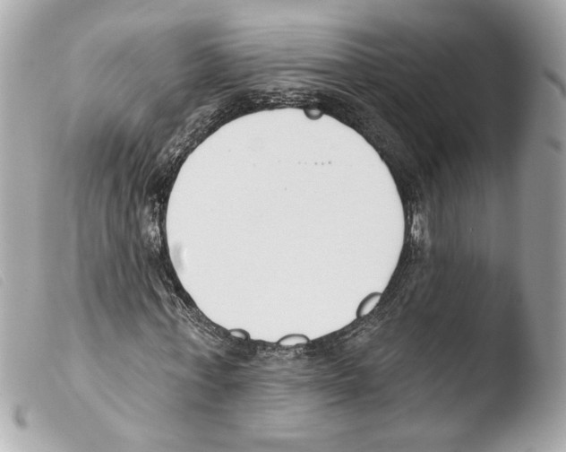 X0000103490771200810101022