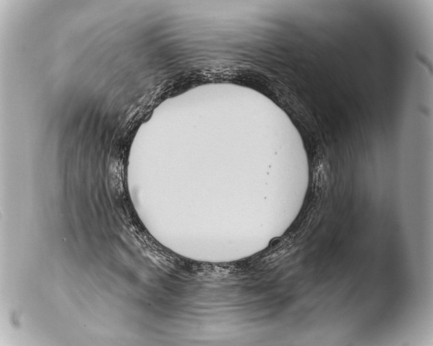 X0000103490772200810101022