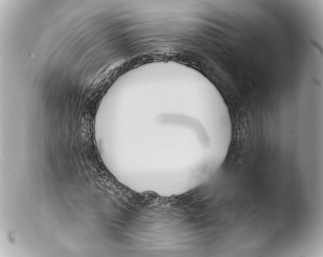 X0000103490773200810101022