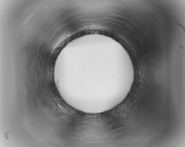 X0000103490775200810101021