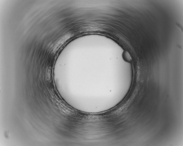 X0000103490777200810101021