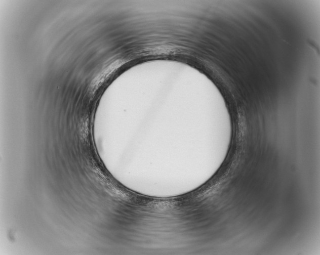 X0000103490778200810101021