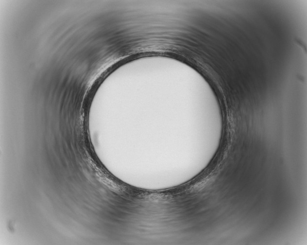 X0000103490779200810101021