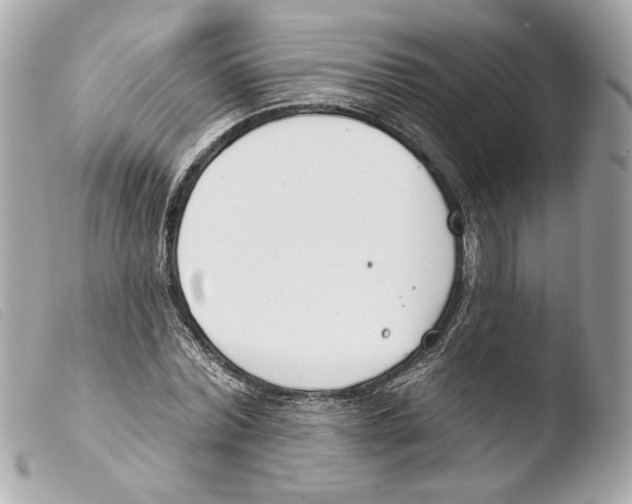 X0000103490780200810101021