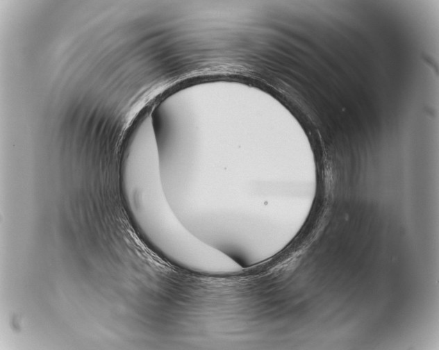 X0000103490781200810101021