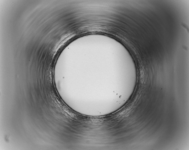 X0000103490782200810101021