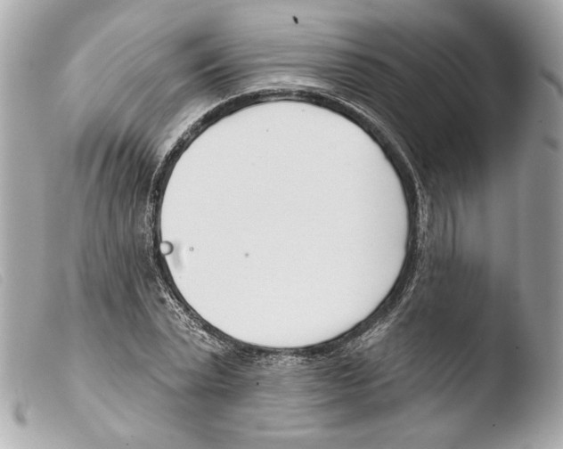 X0000103490783200810101021