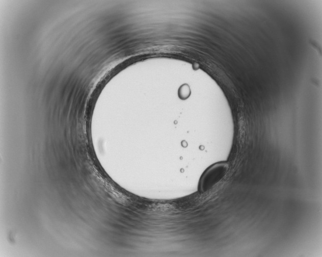 X0000103490784200810101021