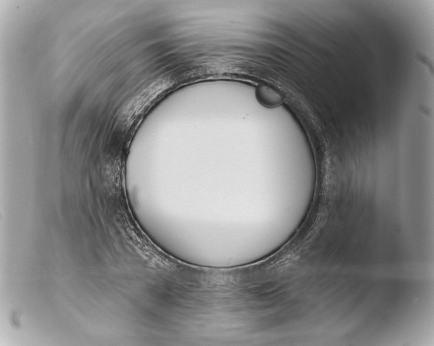 X0000103490785200810101021