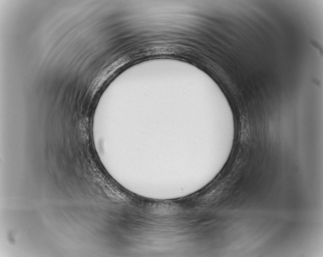 X0000103490786200810101021