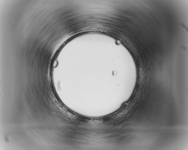 X0000103490788200810101021