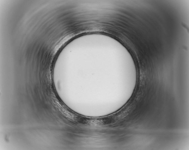 X0000103490789200810101021