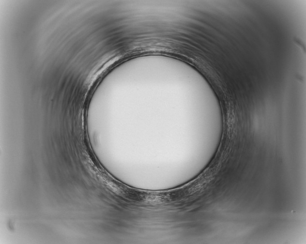 X0000103490790200810101021