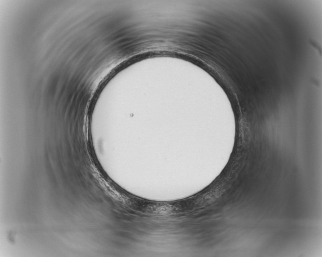 X0000103490791200810101021