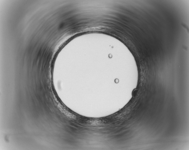 X0000103490792200810101021