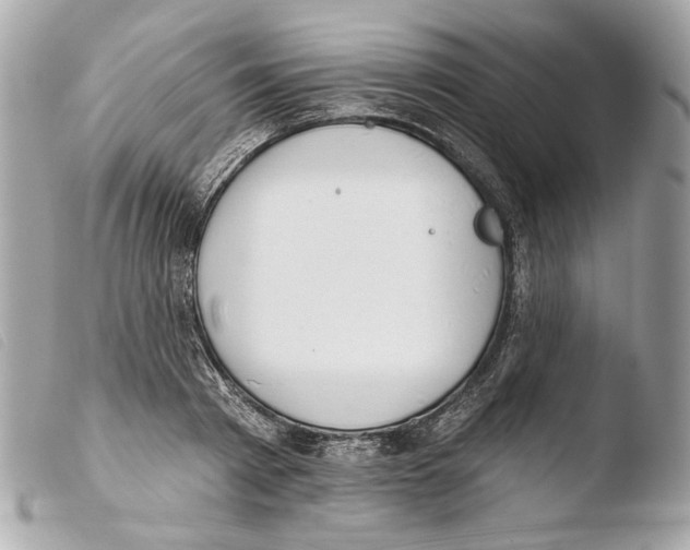 X0000103490793200810101021