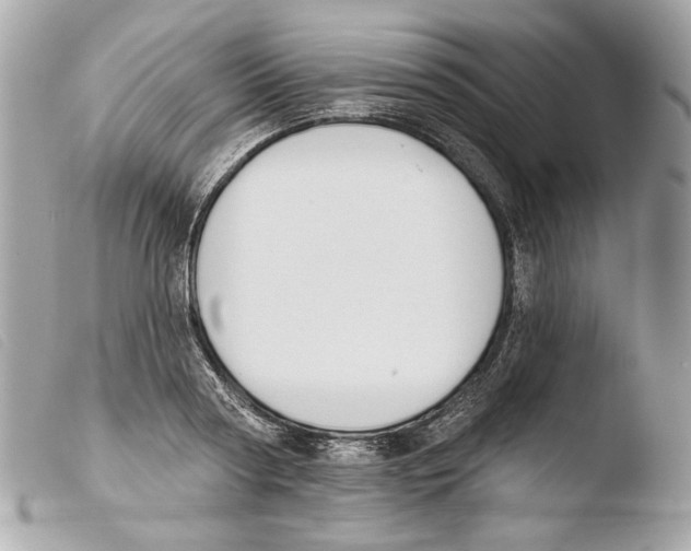 X0000103490794200810101021