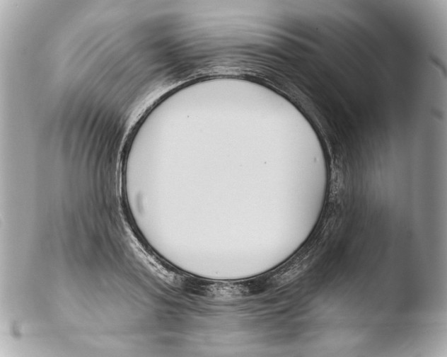 X0000103490795200810101021