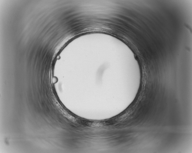 X0000103490796200810101021