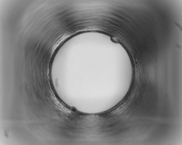 X0000103490797200810101021