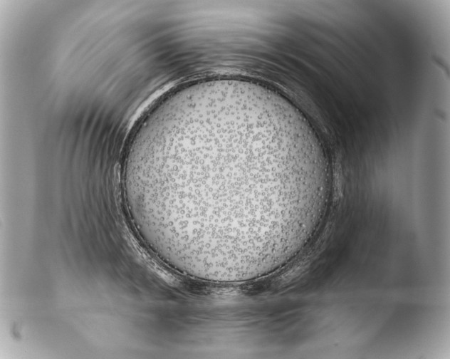X0000103490798200810101021
