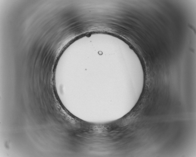 X0000103490799200810101021
