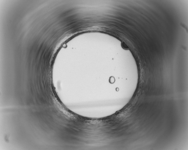 X0000103490800200810101021