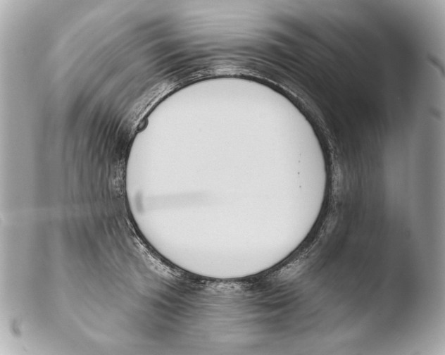 X0000103490801200810101021