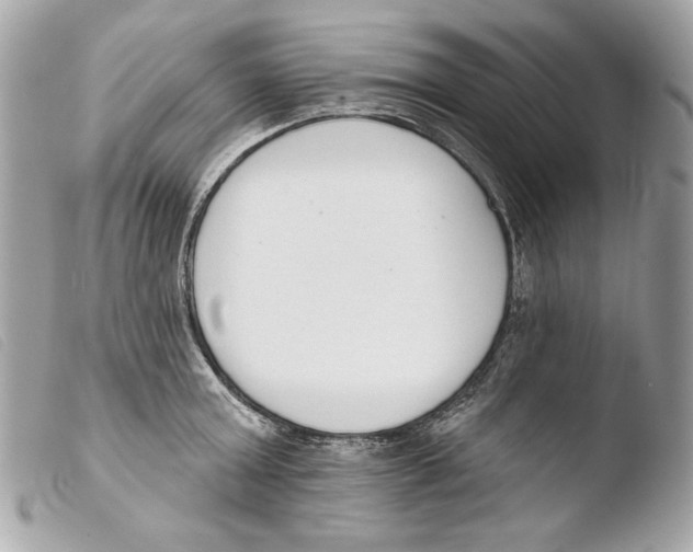 X0000103490803200810101021