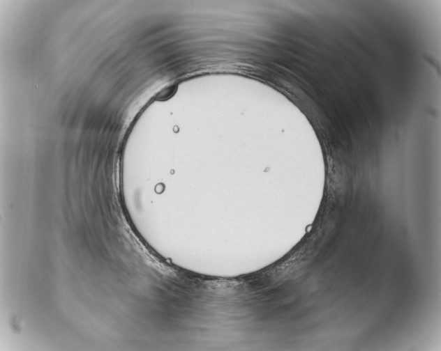 X0000103490804200810101021