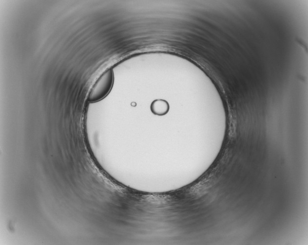 X0000103490805200810101021