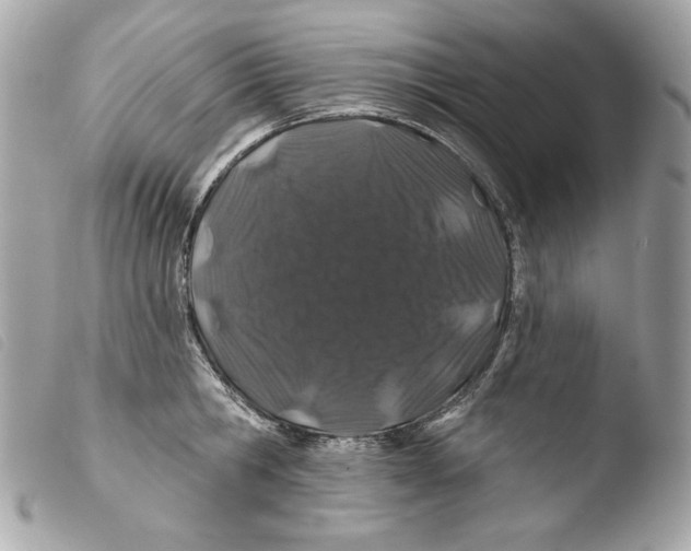 X0000103490806200810101021