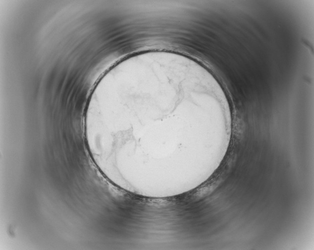 X0000103490807200810101021