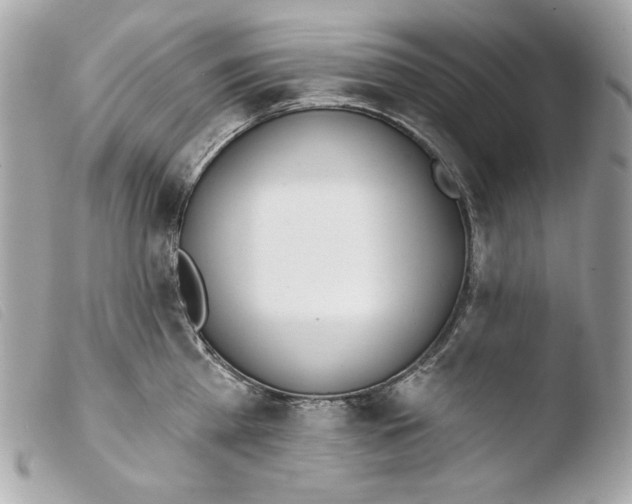 X0000103490809200810101021
