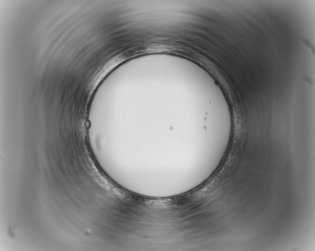X0000103490810200810101021