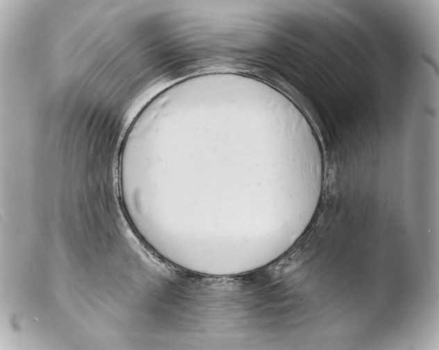 X0000103490811200810101021