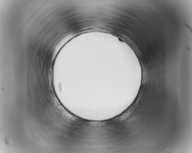 X0000103490812200810101021