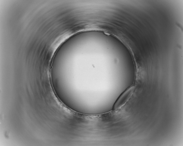 X0000103490813200810101021