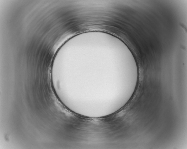 X0000103490814200810101021