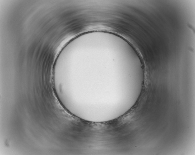 X0000103490815200810101021