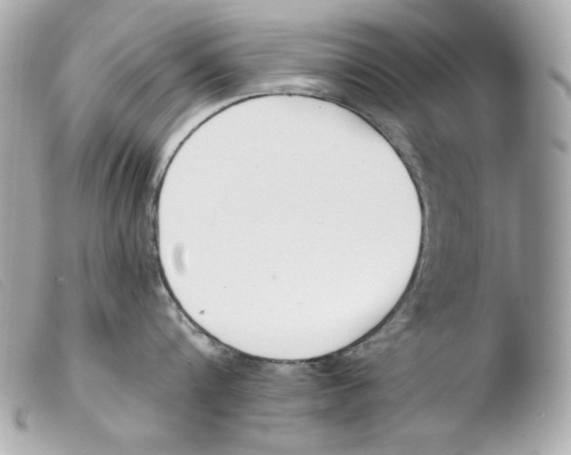 X0000103490816200810101021