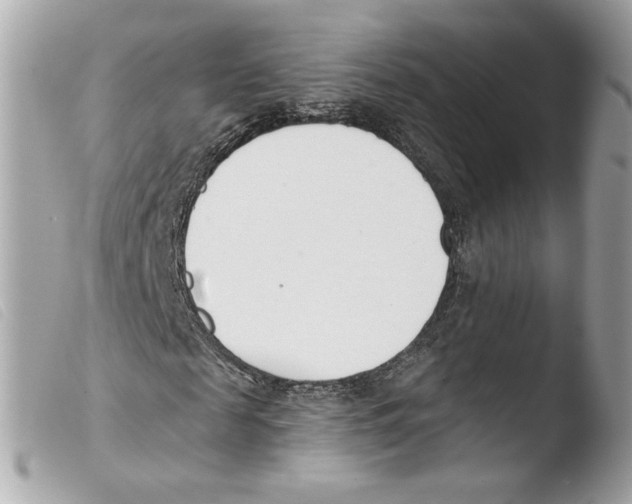 X0000103490817200810101020