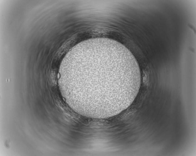 X0000103490819200810101020