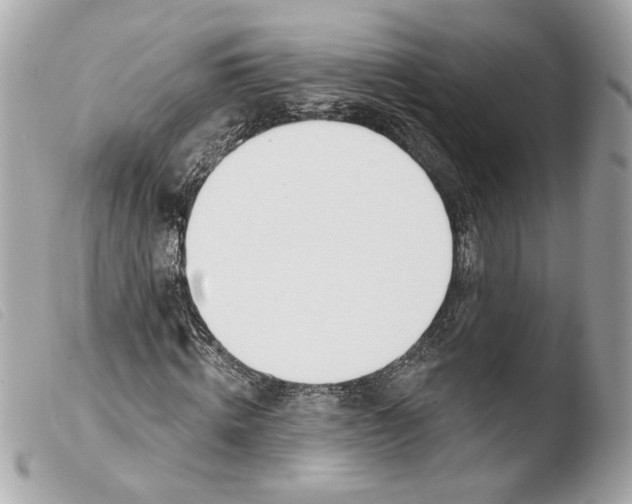 X0000103490820200810101020