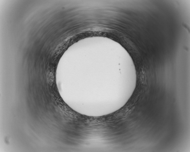 X0000103490821200810101020