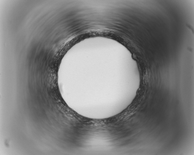 X0000103490822200810101020