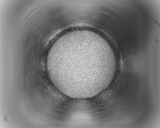 X0000103490823200810101020