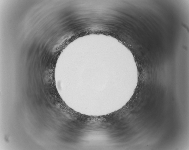 X0000103490824200810101020