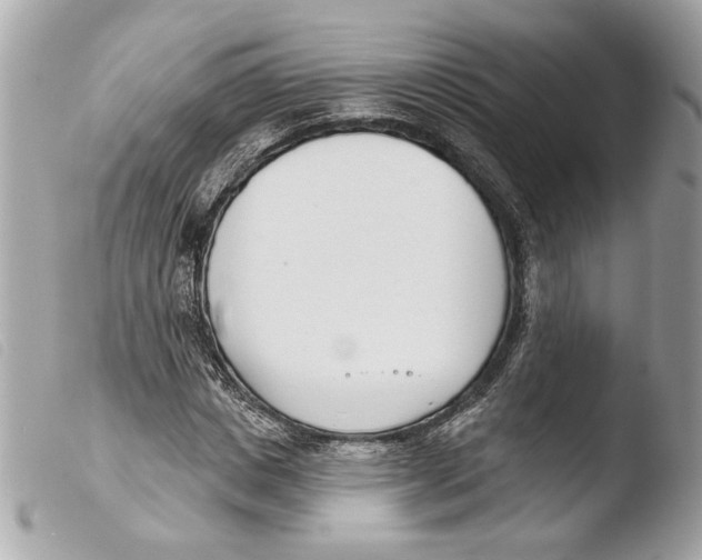 X0000103490825200810101020